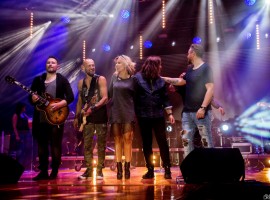 Stegna - koncert